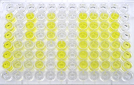 DermaSafe SCT™ High-Throughput