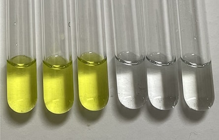 DermaSafe SCT™ Field Test